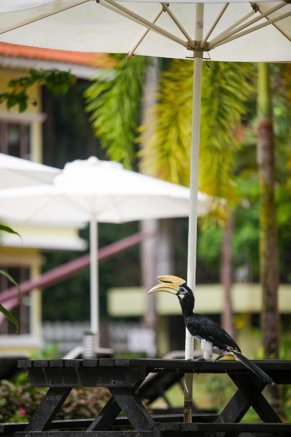 อันจุงัน บีช รีสอร์ต Hotel กัมปุง ตาลุค นิปาห์ ภายนอก รูปภาพ